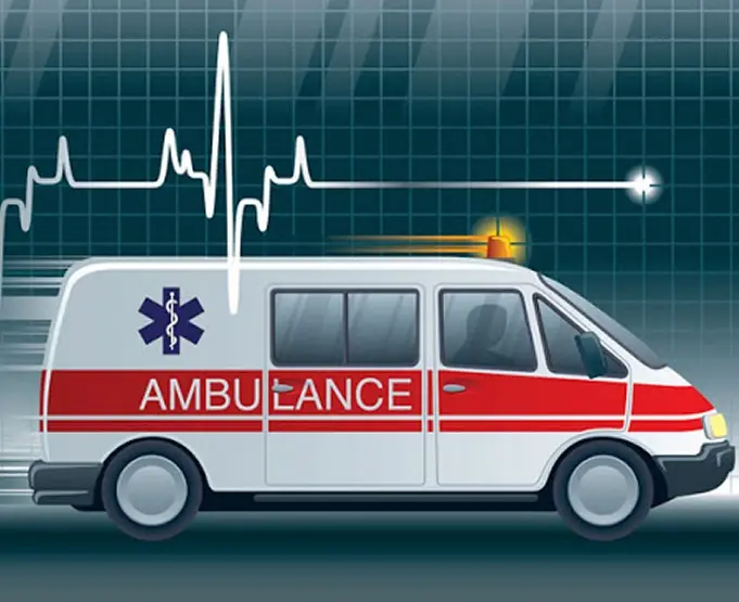 Kidney Care Illustration