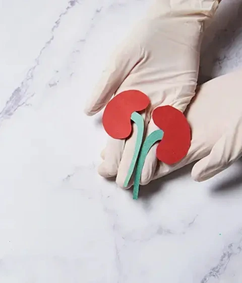 Kidney Care Illustration